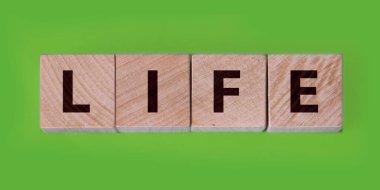 Ahşap küp, arka planda yaşam yazısını parçalıyor. Güvenli bir hayat. Yaşamın korunması.