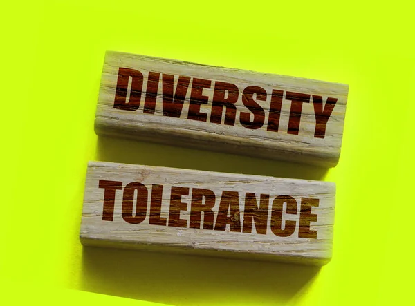 Mångfald Tolerans Ord Träblock Begreppet Lika Möjligheter — Stockfoto
