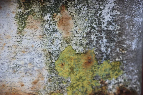 Old Weathered Paint Peeling Rusty Metal Colorful Background — Stock Photo, Image