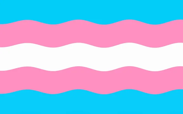 Transseksüel Gurur Bayrağı Sallandı Lgbtq Gurur Topluluğu Kavramı — Stok fotoğraf