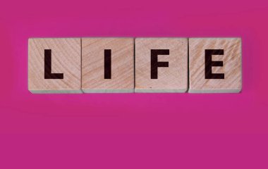 Ahşap küp, arka planda yaşam yazısını parçalıyor. Güvenli bir hayat. Yaşamın korunması.