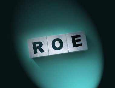 Tahta bloklar ve paralar üzerinde ROE. Equity 'ye Dönüş. İş karlılığı başarı büyüme karlılık analizleri. konsept.