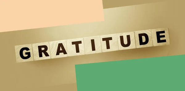 Gratitude Word Wooden Cubes Black White Donation Charity Concept — Stock Photo, Image