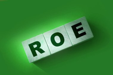 Tahta bloklar ve paralar üzerinde ROE. Equity 'ye Dönüş. İş karlılığı başarı büyüme karlılık analizleri. konsept.