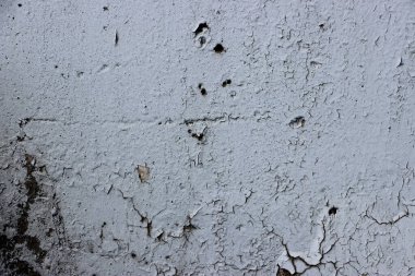 Beyaz paslı boya, grunge arkaplan 