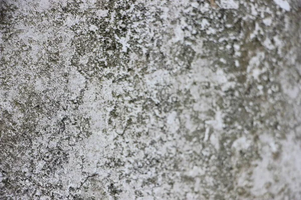 老旧的磨擦风化灰色混凝土石墙纹理背景 — 图库照片