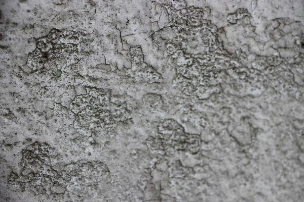 老旧的磨擦风化灰色混凝土石墙纹理背景 — 图库照片