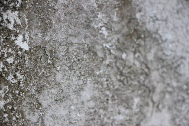 Gri beton grunge duvar Arka plan vintage dokusu.