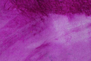 soyut boyalı suluboya arkaplan 