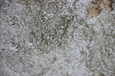 Eskimiş grunge eskimiş gri beton beton taş duvar dokusu arka plan.