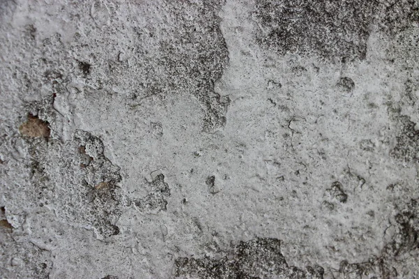 Сірий Бетон Цемент Гранжева Стіна Фон Старовинна Текстура — стокове фото