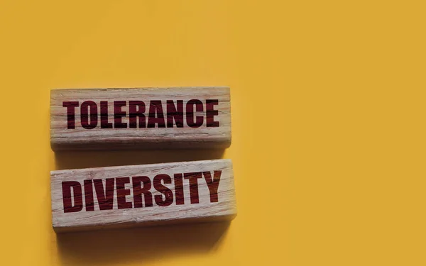 Ανοχή Διαφορετικότητα Λέξεις Ξύλινα Μπλοκ Κίτρινο Έννοια Της Ισότητας Κατά — Φωτογραφία Αρχείου