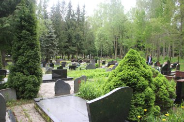 Eski mezarlık manzarası, yaşam ve ölüm kavramı 