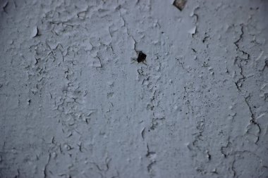 Eskimiş grunge eskimiş gri beton beton taş duvar dokusu arka plan.