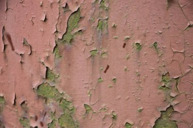 Paslı boyalı duvar arkaplanı kapat 