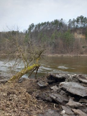 Nehir ve ormanlı güzel bir manzara.