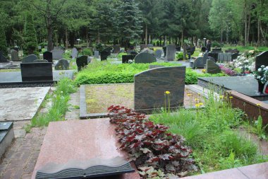 Eski mezarlık manzarası, yaşam ve ölüm kavramı 