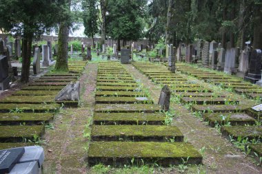 Eski mezarlık manzarası, yaşam ve ölüm kavramı 