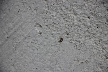 beyaz boyanmış duvar arkaplan görüntüsü 