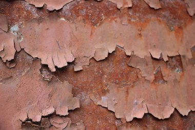 Paslı boyalı duvar arkaplanı kapat 