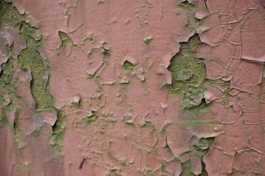 Paslı boyalı duvar arkaplanı kapat 
