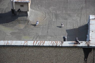 şehir konsepti, şehir manzarası arkaplan görüntüsü  