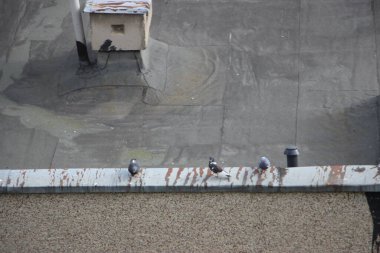 şehir konsepti, şehir manzarası ayrıntıları arkaplan görüntüsü  