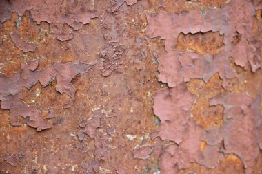 Paslı boyalı duvar arkaplanı kapat 