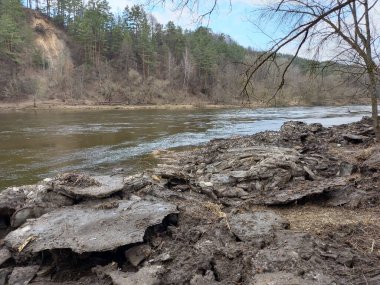 Nehir ve ormanlı güzel bir manzara.
