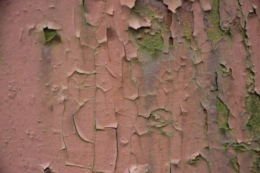 Paslı boyalı duvar arkaplanı kapat 