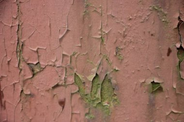 Paslı boyalı duvar arkaplanı kapat 