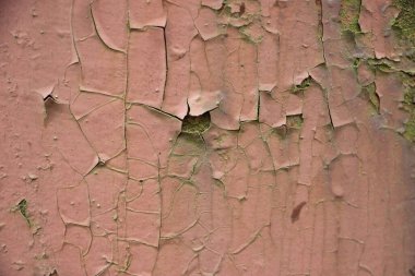 Paslı boyalı duvar arkaplanı kapat 