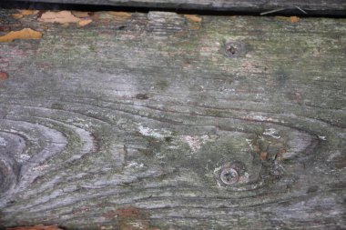 soyut ahşap arkaplan yakın görünüm