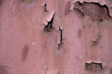 Paslı boyalı duvar arkaplanı kapat 