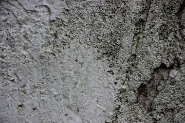 beyaz boyanmış duvar arkaplan görüntüsü 