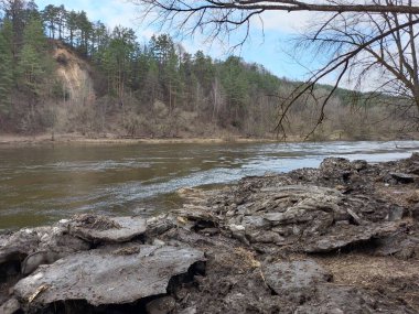 Nehir ve ormanlı güzel bir manzara.