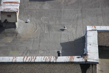 şehir konsepti, şehir manzarası arkaplan görüntüsü  