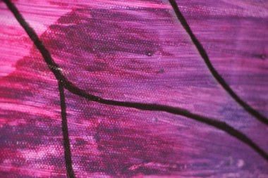 Üzerine boya sıçramış tuval. Yakından bak. 