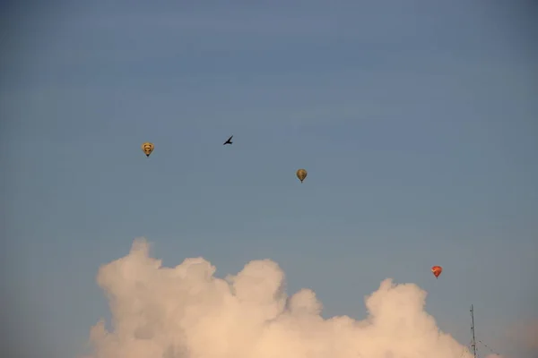 Heteluchtballonnen Zicht Lucht — Stockfoto