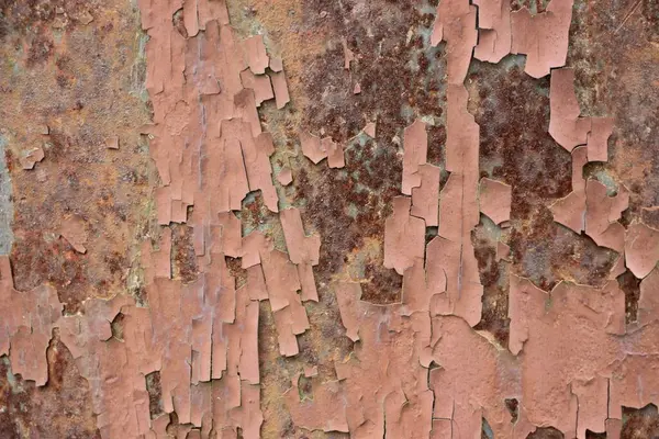 Paslı boyalı duvar arkaplanı kapat 