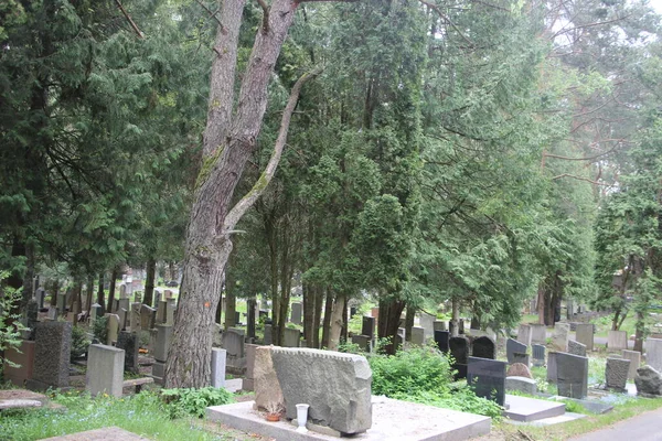 Eski mezarlık manzarası, yaşam ve ölüm kavramı 