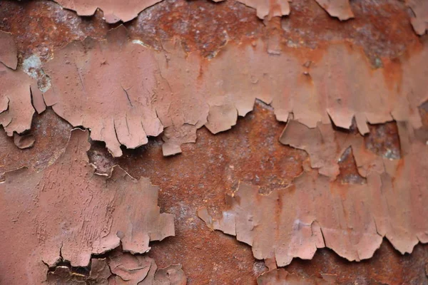 Paslı boyalı duvar arkaplanı kapat 