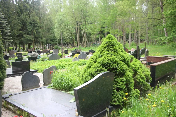 Eski mezarlık manzarası, yaşam ve ölüm kavramı 