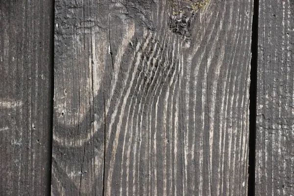Abstrakte Holzhintergrund Nahaufnahme — Stockfoto