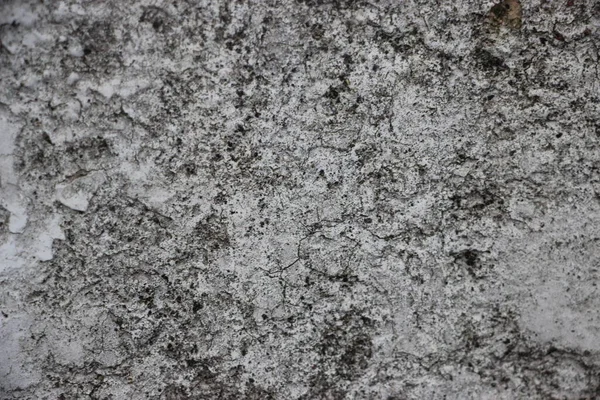 Eskimiş grunge eskimiş gri beton beton taş duvar dokusu arka plan.