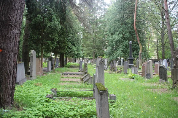 Antigua Vista Del Cementerio Concepto Vida Muerte —  Fotos de Stock