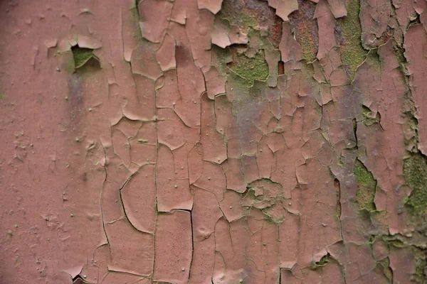 Rostig Bemalte Wand Hintergrund Nahaufnahme — Stockfoto