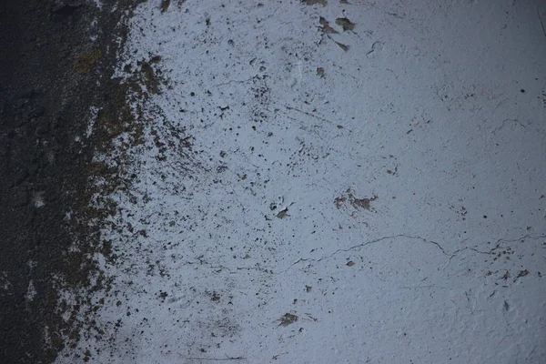 somut duvar arkaplan görüntüsü 