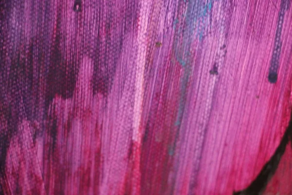 Üzerine boya sıçramış tuval. Yakından bak. 