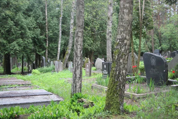 Eski mezarlık manzarası, yaşam ve ölüm kavramı 